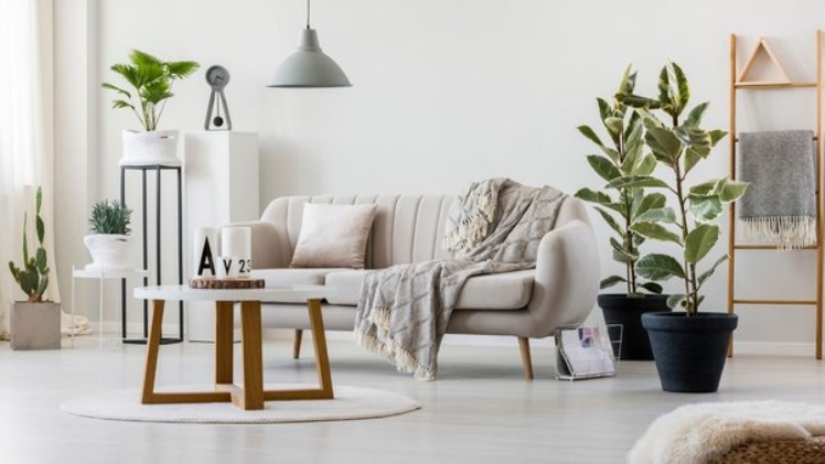 Can I Trust Online Furniture Stores to Furnish Whole of My House?
